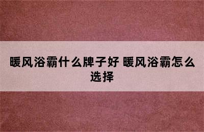 暖风浴霸什么牌子好 暖风浴霸怎么选择